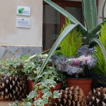 Albergue Turistico Tierras Altas Фуэнтес-де-Маганья Экстерьер фото